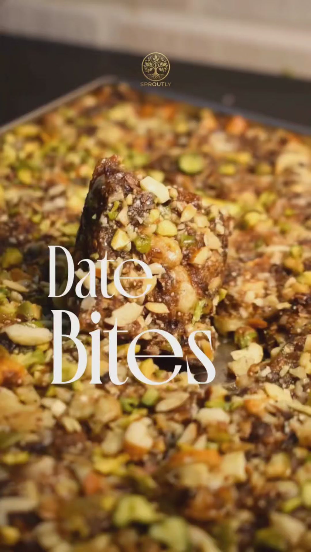 Dry Fruit Date Bites