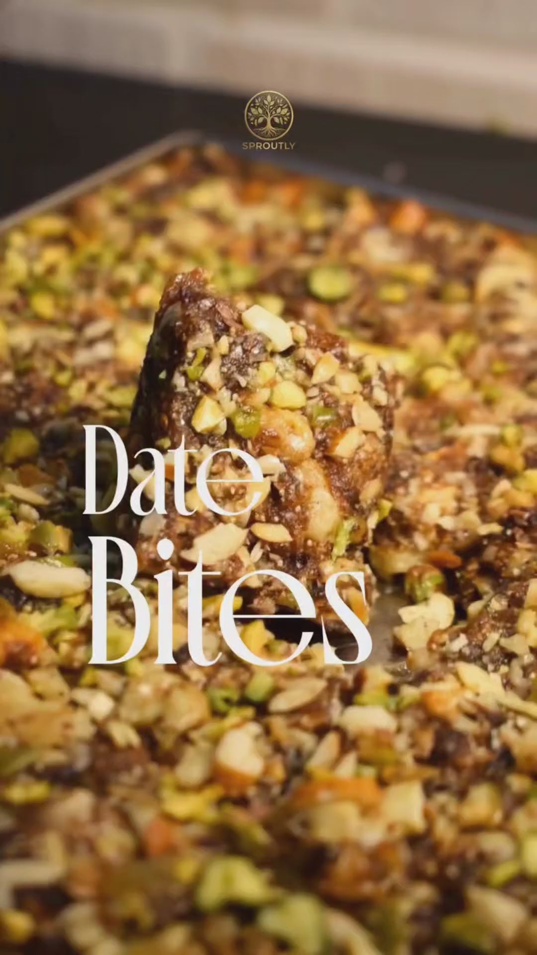 Dry Fruit Date Bites
